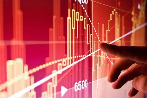 基金投資入門與技巧 如何投資基金(入門基金投資與技巧)