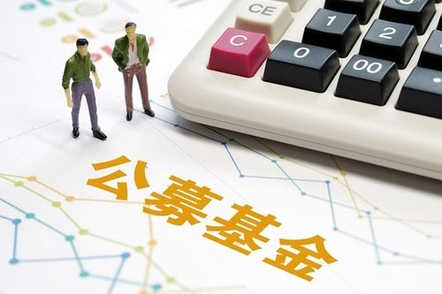 偏債基金和債券基金的區(qū)別是什么(偏債基金和債券基金的區(qū)別)?